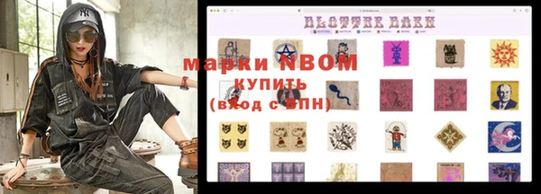 стафф Надым
