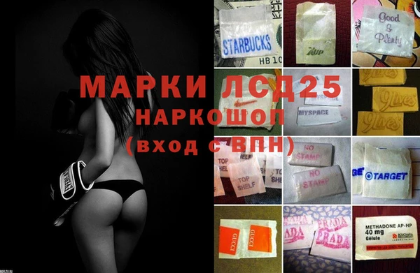стафф Надым