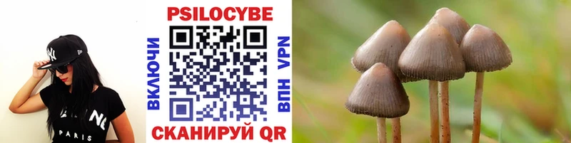 купить  сайты  Новосибирск  Галлюциногенные грибы мухоморы 